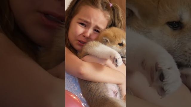 Подарили щенка на день рождения. Реакция