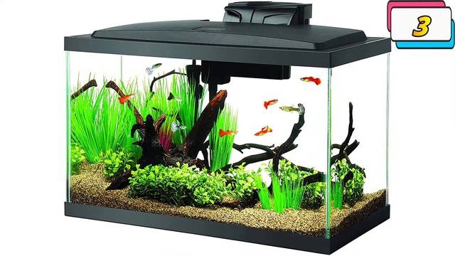 Top 5 Best 10 Gallon Fish Tank  In 2021 - Reviews & Top Picks