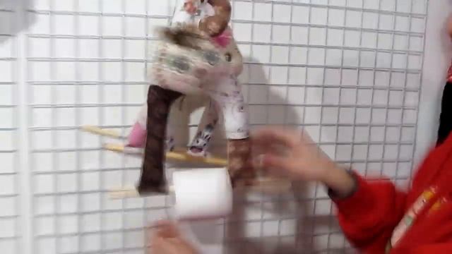 Держатели туалетной бумаги Кот