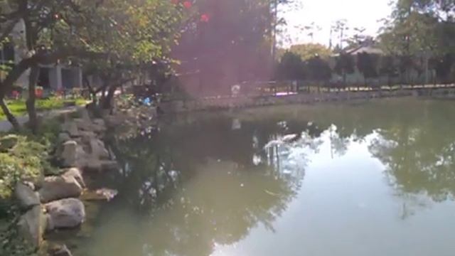 Nikon P310 Movie Sample #2 (HS)