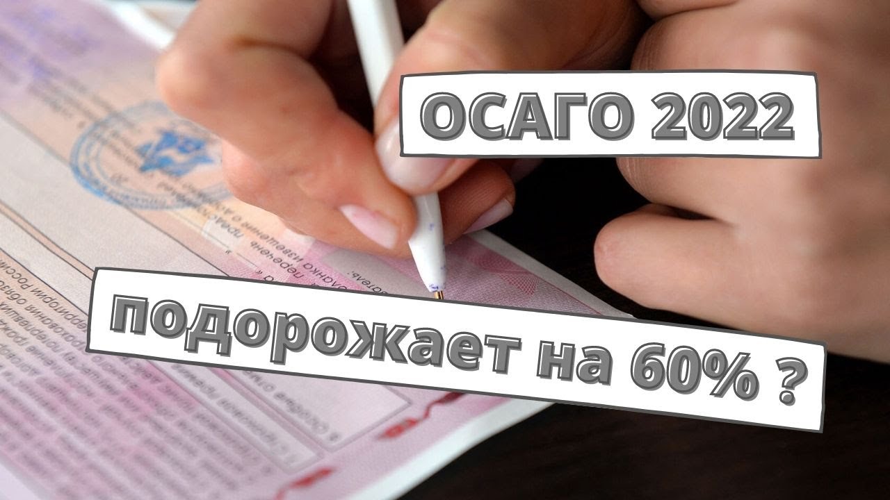 Осаго Стало Дороже В 2023