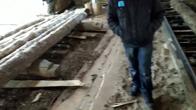 Чем красим донья?  Режем лес для подставокпод улья