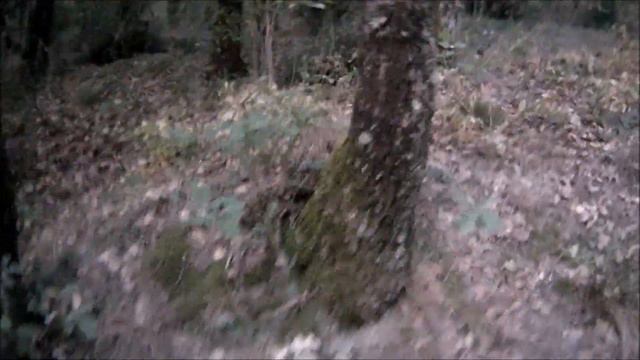ARTEK VLOG 2  ПОДЪЁМ НА АЮ ДАГ. ПОСВЯЩЕНИЕ В АРТЕКОВЦЫ  2 ЧАСТЬ