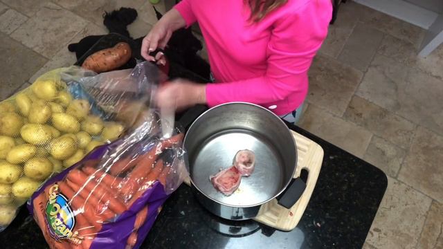 Feeding a Giant Schnauzer Cooking with Love
