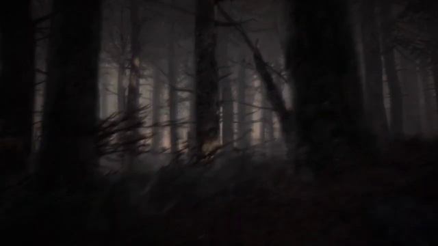 прохождение игры ведьма блэр 1 часть (комп не захотел монтировать)