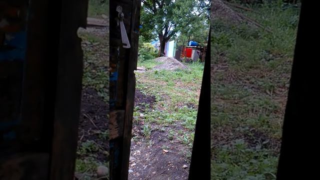Приведение в огороде