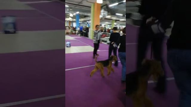 VID 20190331 121333