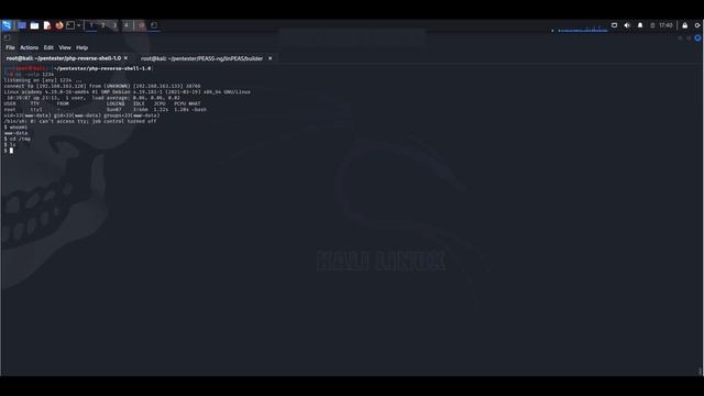 Ethical Hacking ??? ☠️ - How to use LinPEAS - Linux Privilege Escalation - Linpeas tutorial