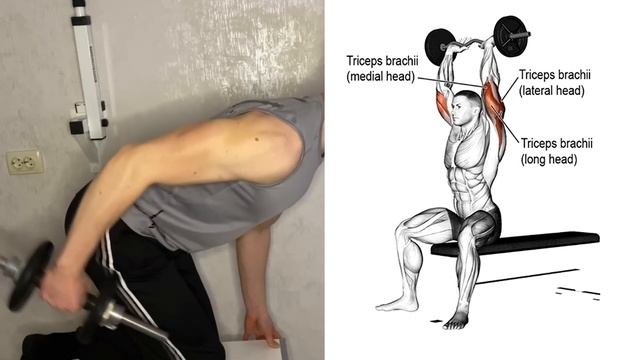 Best Triceps Exercises With Dumbbells  Home Workout 