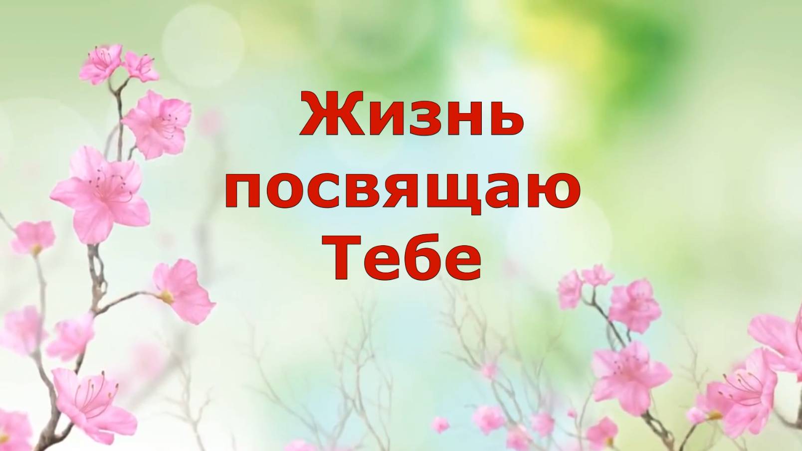 Жизнь посвящаю Тебе