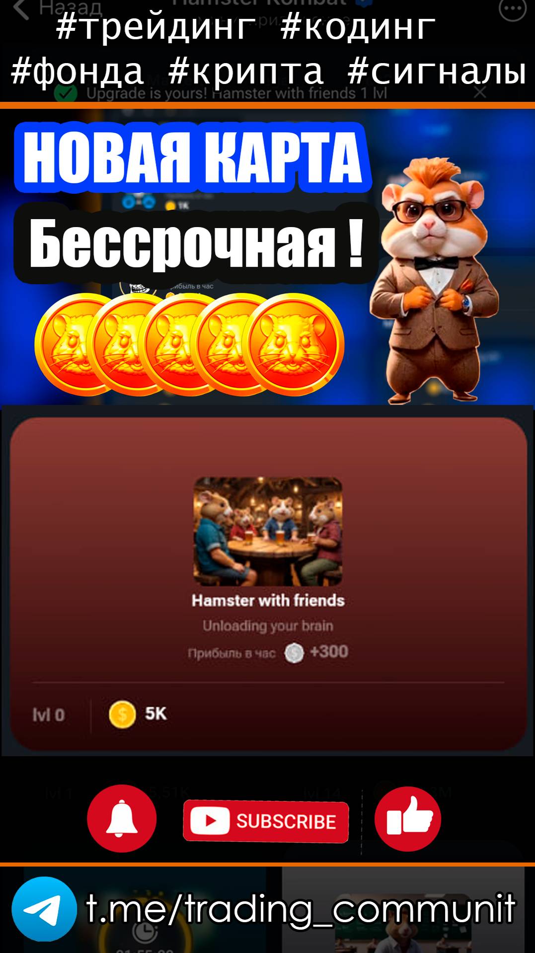 Новая карта в хомяке - Hamster with friends #shorts