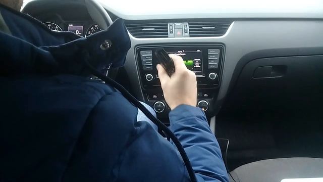 Skoda: Васька Диагност (2020)