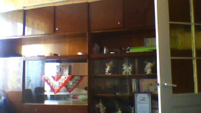 Видео с веб-камеры. Дата: 1 августа 2013 г., 16:13.
