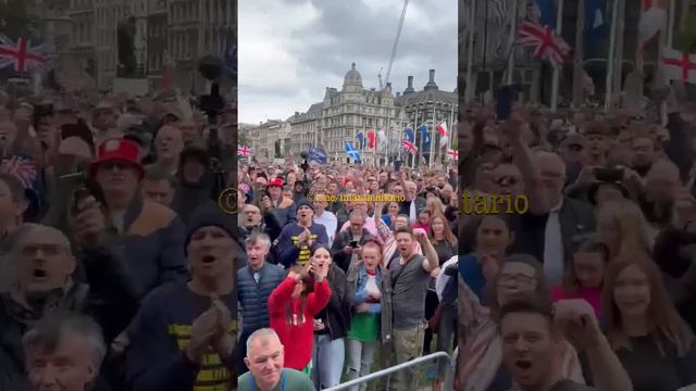 Многочисленная толпа в Лондоне, Англия аплодирует в поддержку Трампа