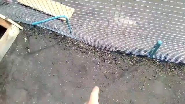 Обзор хозяйства, и до деланный утятник