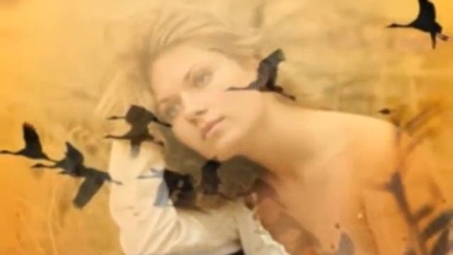 Осенний сон 10 25 2012 4 01 31 PM 320x240