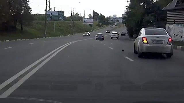 ?Придурки за рулем 14?