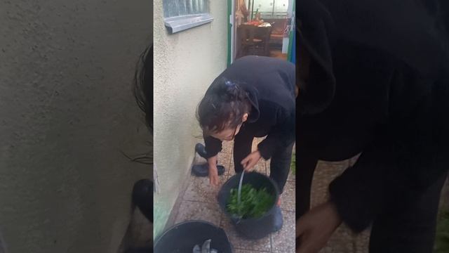 Trazim te na mrezama