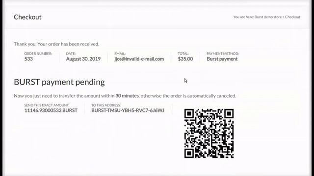 Burstcoin demo store! Burstcoin демо магазин. Как покупать? Как подключить способ оплати Burstcoin?