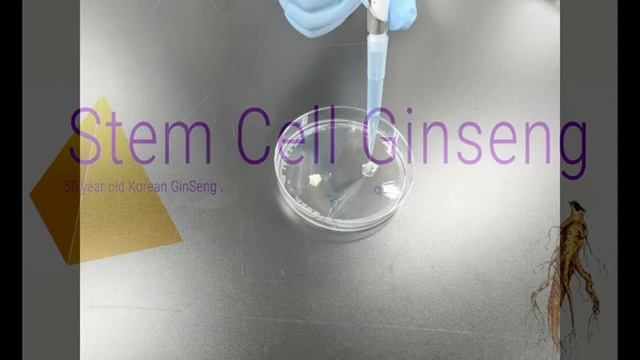 Stem Cell Ginseng Demo   English