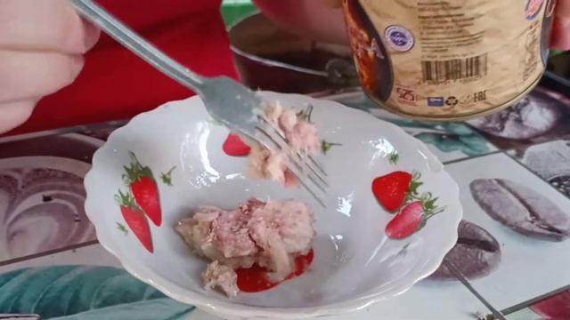 Дегустация,тушёнка ,,СТАРКОВО,,