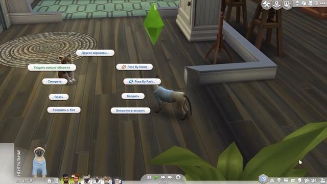The Sims 4 | Кошачья мята | Обзор | ? Вуху! Кошек ? | Woohoo