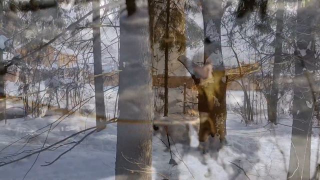 Что нужно сделать, чтобы найти зимой Мёд.