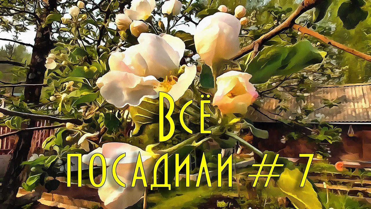 Всё посадили # 7