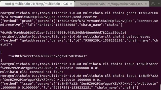 MultiChain transaction test