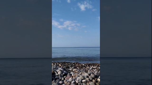 petal_20240708_114922.mp4