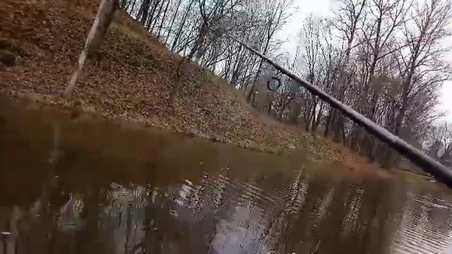 Попытка закрыть сезон по щуки часть 1