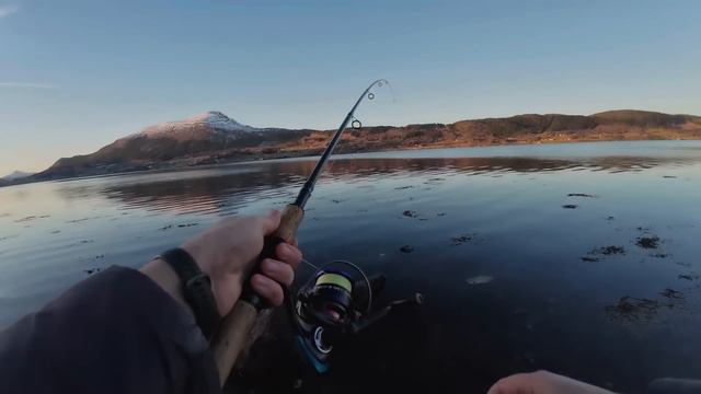 ПОПАЛ на Ночной ЖОР! Рыбалка в Норвегии на Донки! Обзор фонарика Armytek Wizard C2 Pro