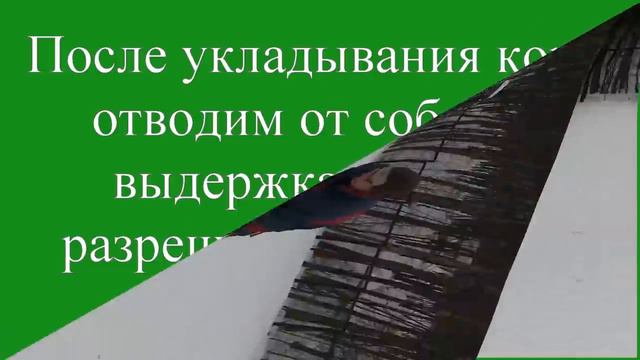 Упражнения для команды лежать, три варианта выдачи корма