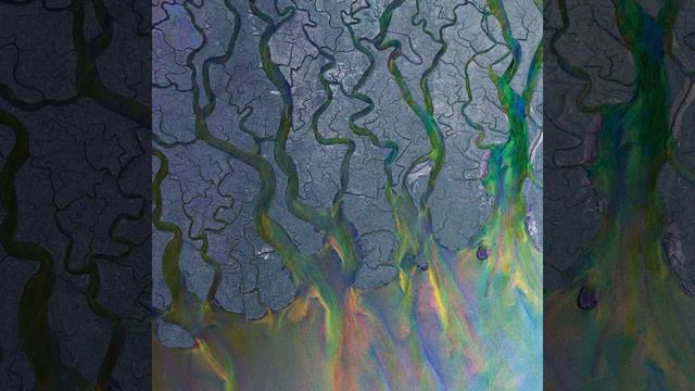 Taro - alt-J