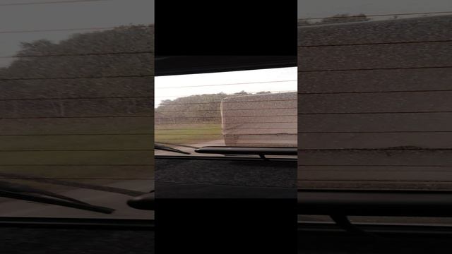 Бакшеево-Тара на ниве