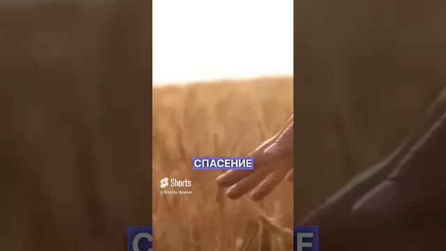 БОГ МОЙ #творец #создатель #психология