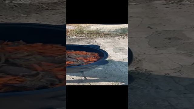 Лагман3.mp4