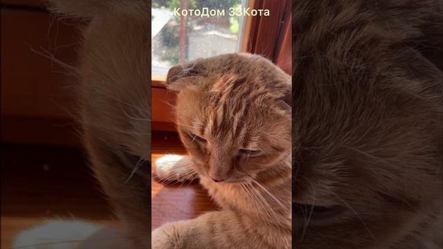 СПА процедуры для Моти