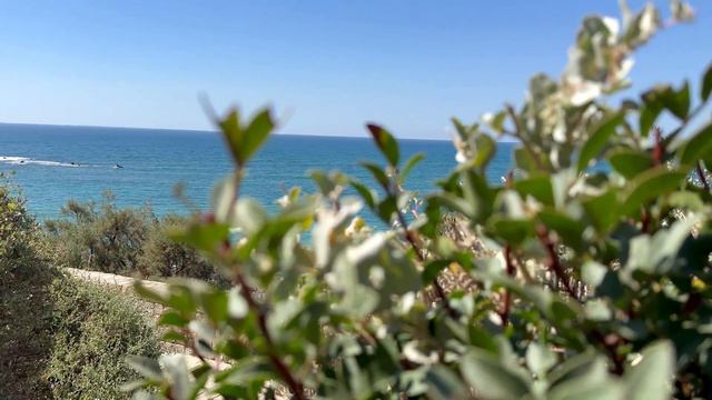 Best of Tel Aviv 2023 I Israel I 4K
