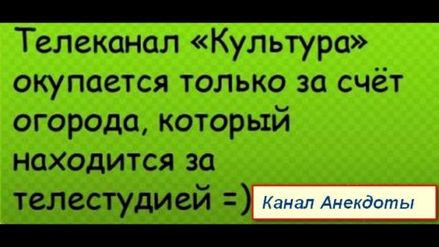 Анекдоты для хорошего настроения