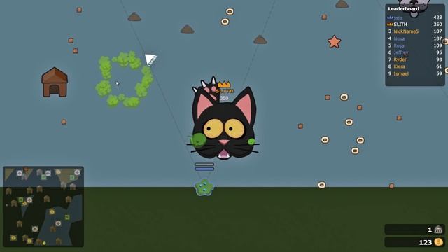 КОШКИ против СОБАК