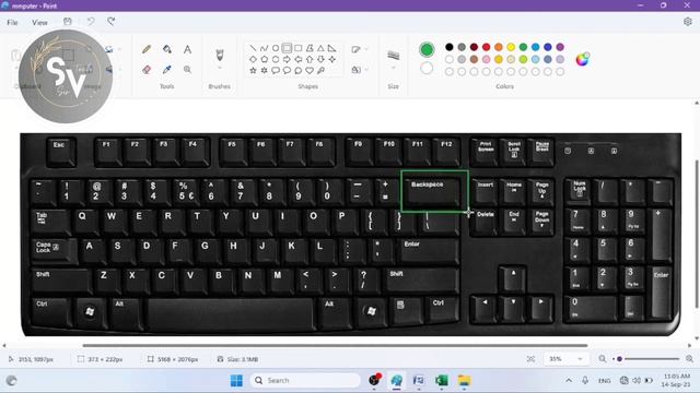 कीबोर्ड की जानकारी हिंदी में || Computer Keyboard All Keys Detail || Basic Computer Course Part 5