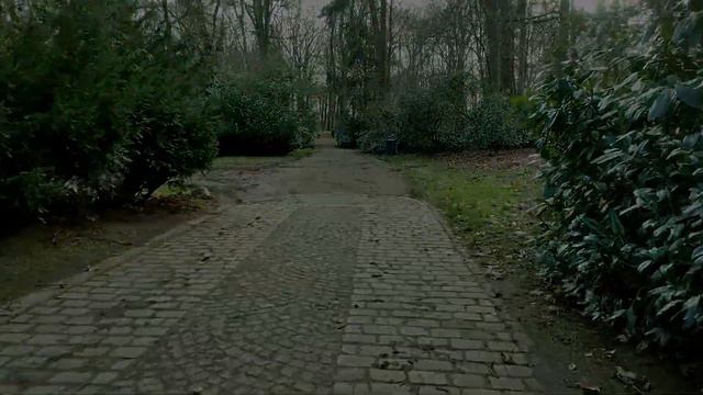 Прогулка в парке 🛤 где был когда - то БЕТХОВЕН🎼 в  ГАМБУРГЕ!🏕 Работа в Германии!⚒