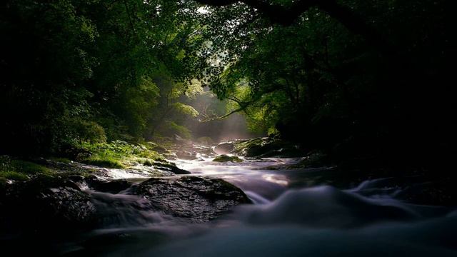 Most relaxing Music ever - Rain Forest Meditation