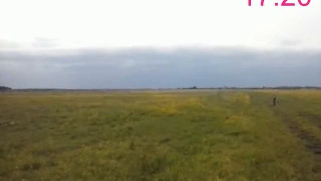 Пастьба коров день 5