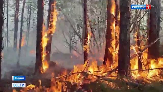 Россия 1 # Вести, Москва, 20 июля 2024 , Борьба с лесными пожарами