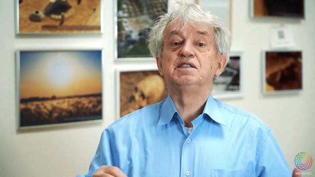 Чернов М.П. Методика «ЛУЧ»: Пробуждение внутреннего ресурса