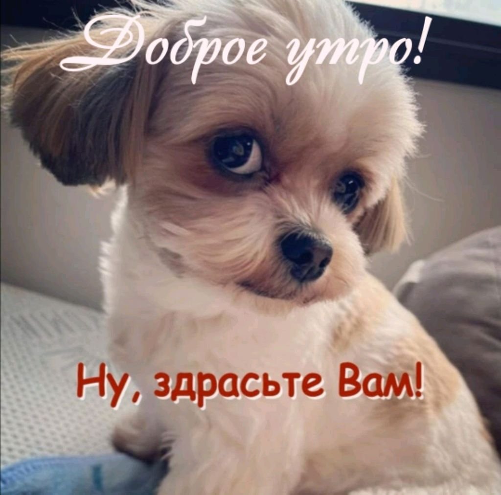 дом