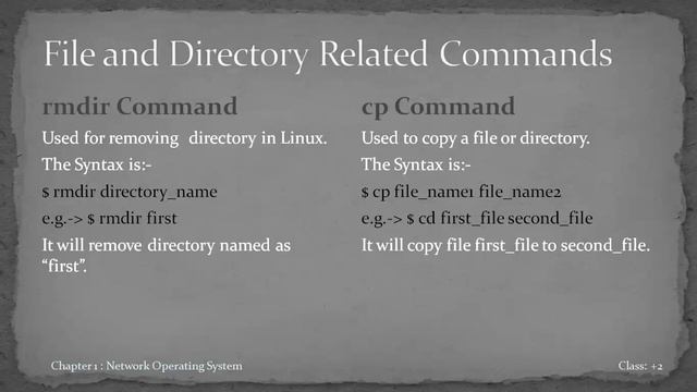 What is Shell? What are Shell Commands and How to use shell commands?