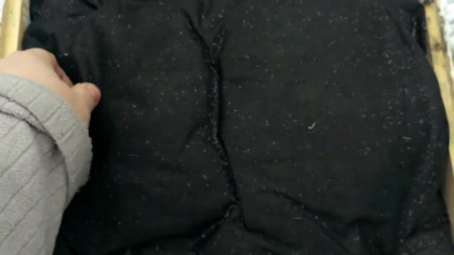 Зимний осмотр пчел 07,01,2019 на улице